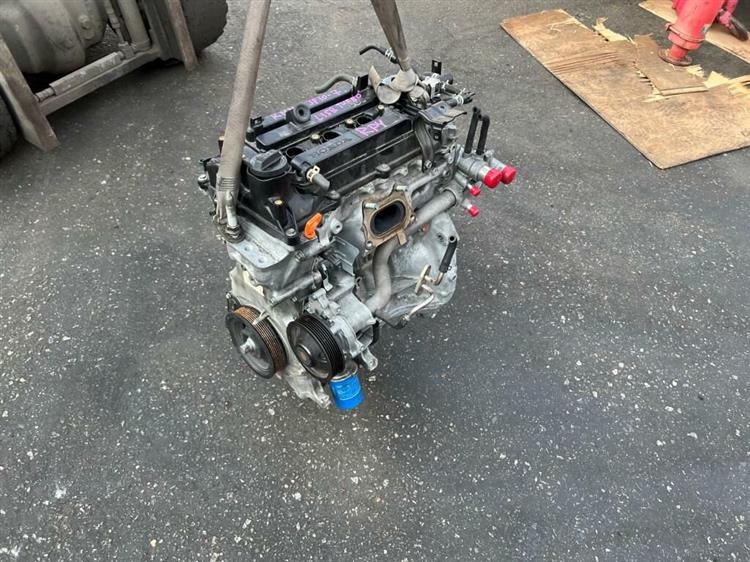 Двигатель Хонда Степвагон в Камышине 241069