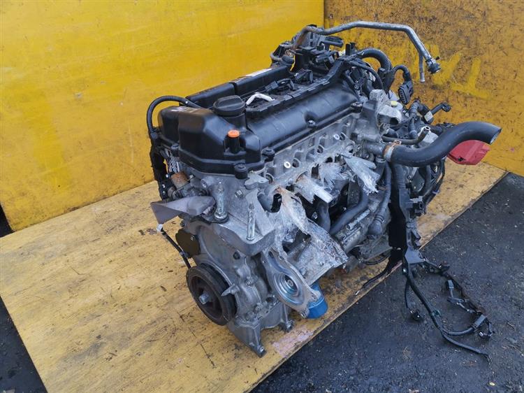 Двигатель Хонда Грейс в Камышине 43549