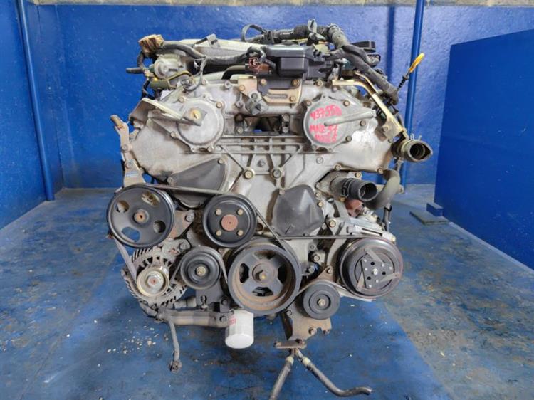 Двигатель Ниссан Эльгранд в Камышине 437558
