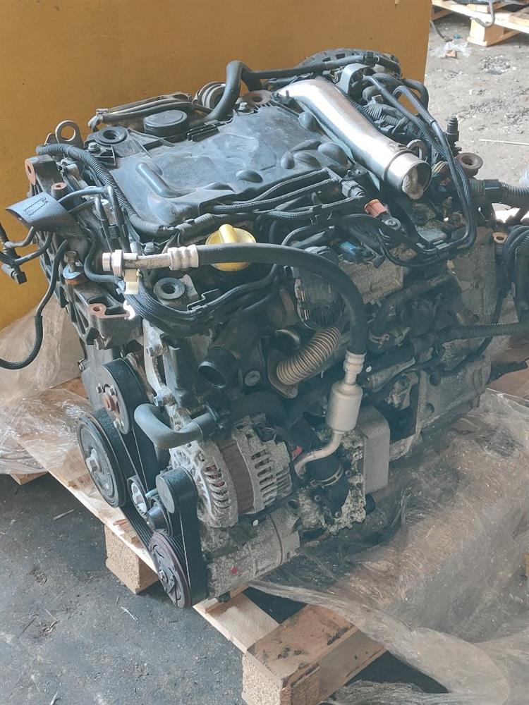 Двигатель Ниссан Х-Трейл в Камышине 50287