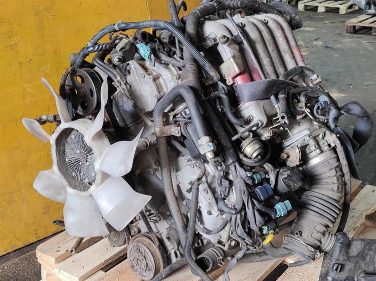 Двигатель Ниссан Эльгранд в Камышине 51254