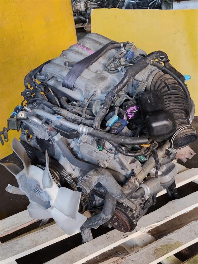 Двигатель Ниссан Эльгранд в Камышине 51266