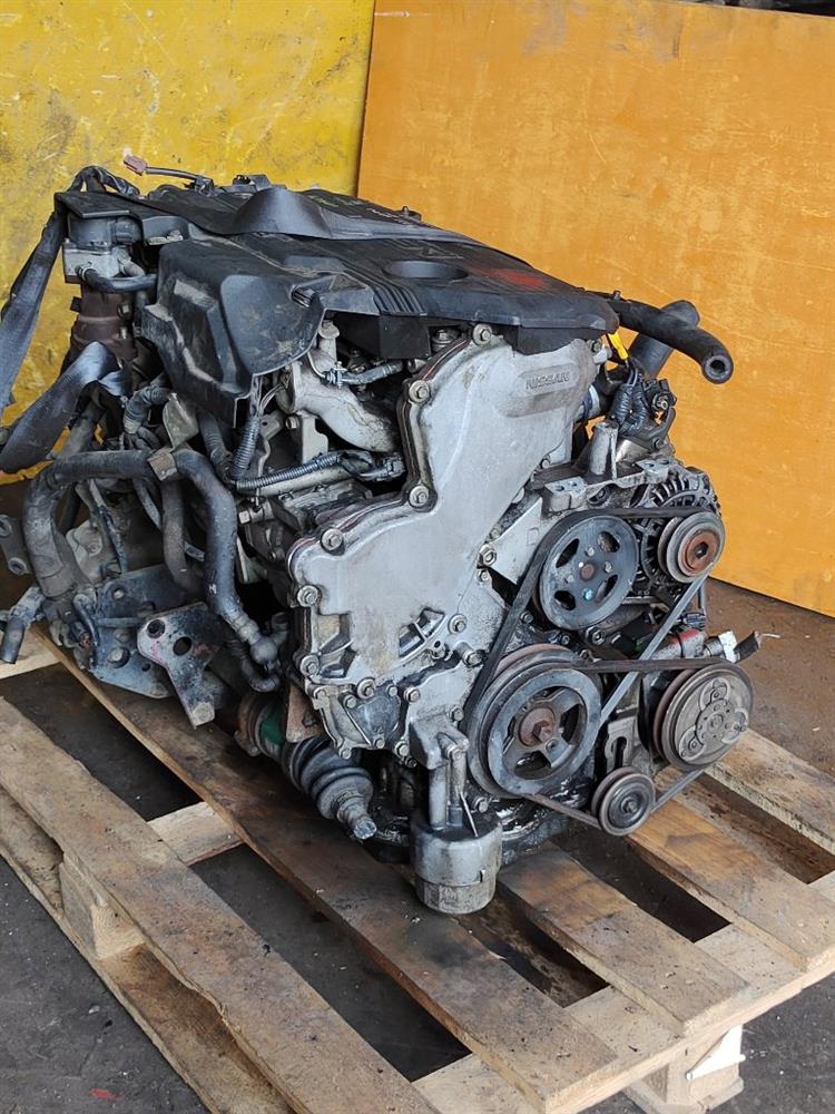 Двигатель Ниссан АД в Камышине 61896