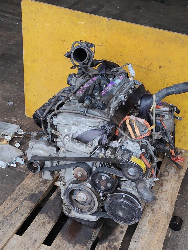 Двигатель Тойота Альфард в Камышине 644931